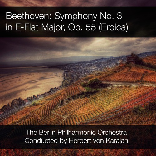 Beethoven: Symphony No. 3 in E-Flat Major, Op. 55_poster_image