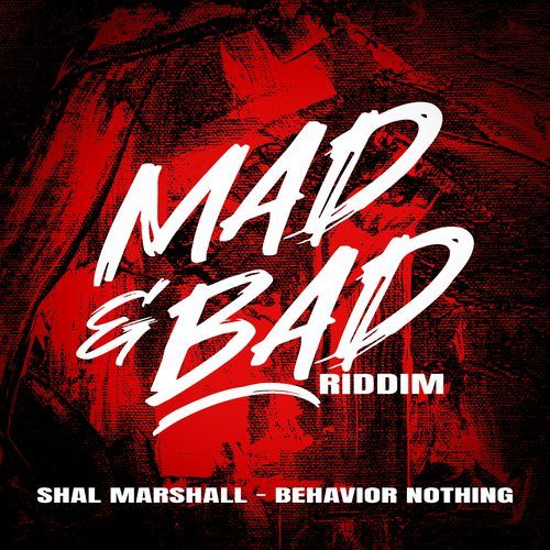 Behavior Nothing (Mad & Bad Riddim)