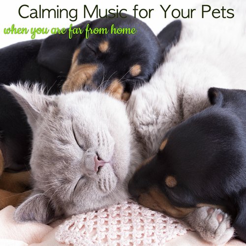 Total Relax - Soothing Sleep Sounds cover art