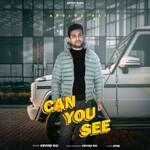 Can You See