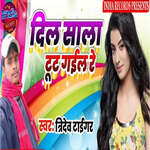 Dil Sala Tut Gail Re