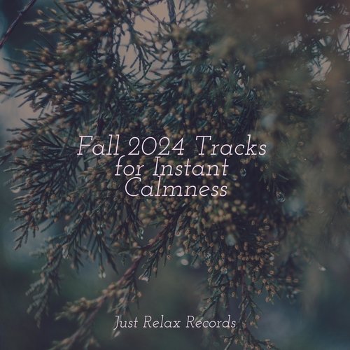 Fall 2024 Tracks for Instant Calmness