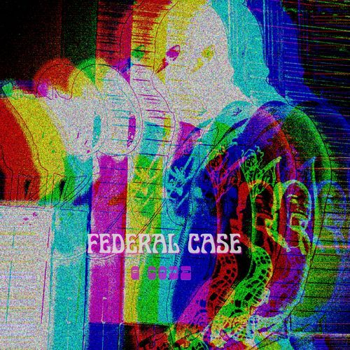 Federal Case