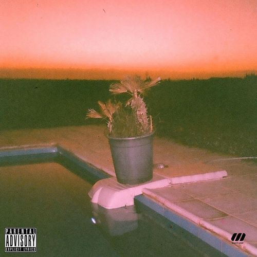 White Sugar cover art