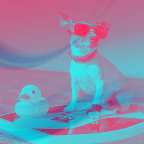 Deluxe Calming Your Dog cover art