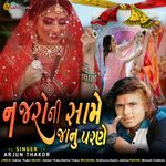 Najaroni Same Janu Parne