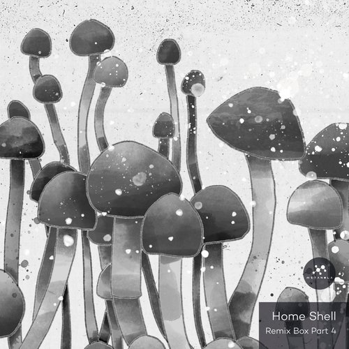 Molly (Home Shell Remix) cover art