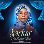 Sarkar Aa Rahen Hain