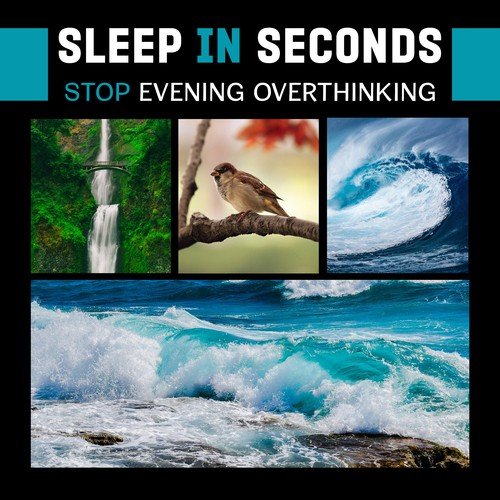 Sleep in Seconds (Stop Evening Overthinking, Relaxing Mind Nature Sounds, Before Sleep Relaxation)_poster_image