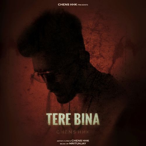 Tere Bina