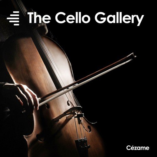 The Cello Gallery_poster_image