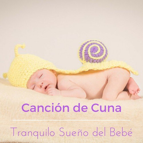 Sufi cover art