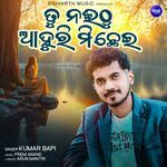Tu Naee Thu Ahuri Michhei