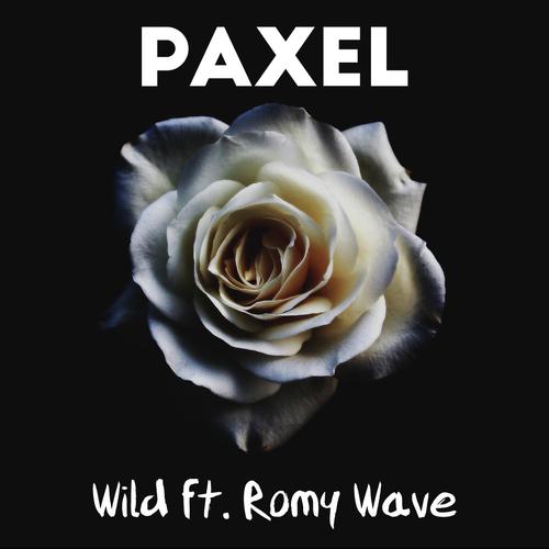 Wild (feat. Romy Wave)