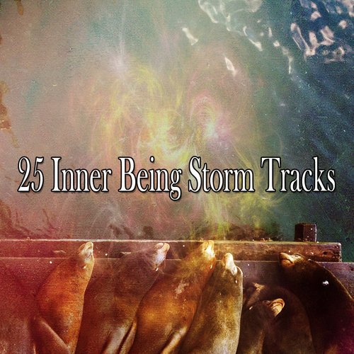 25 Inner Being Storm Tracks