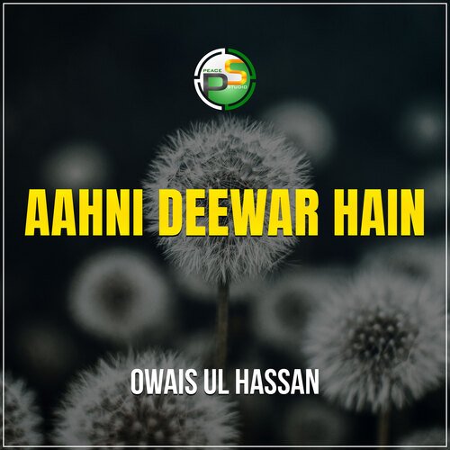 Aahni Deewar Hain