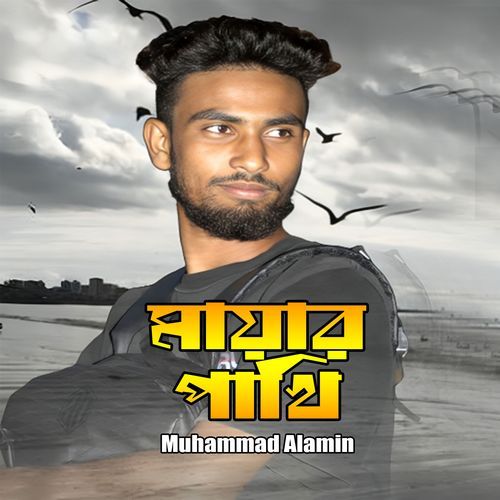 মায়ার পাখি