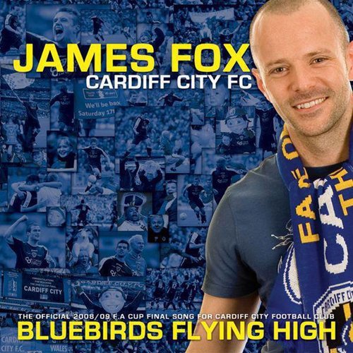 Bluebirds Flying High_poster_image