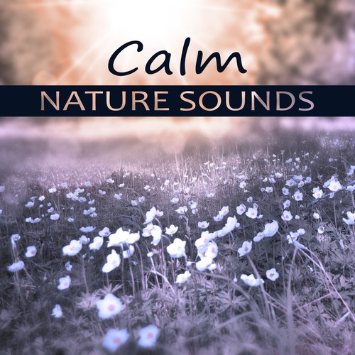 Calm Nature Sounds – Deep Sounds for Relax, Hypnotic Therapy, Cure Insomnia, Water Sounds