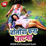 Jab Holiya Me Choli Fara Jaye Ga