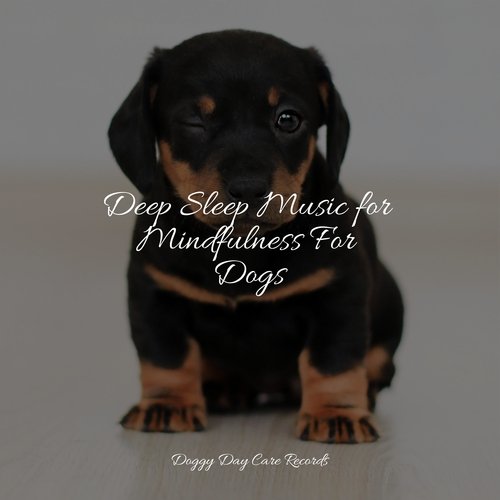 Deep Sleep Music for Mindfulness For Dogs