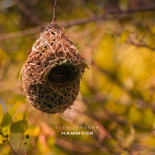 Hammock cover art