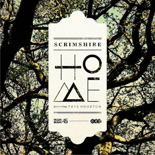 Home (Paper Tiger Remix) [feat. Faye Houston]