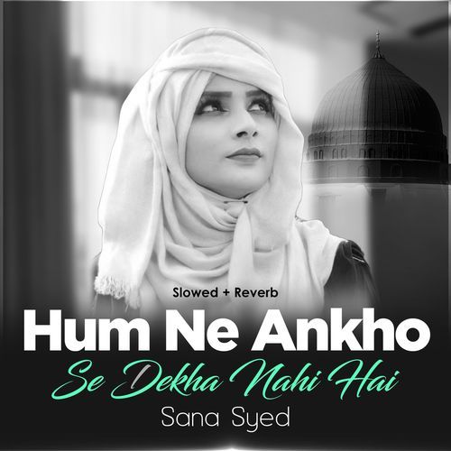 Hum Ne Ankho se Dekha Nahi Hai (Lofi-Mix)
