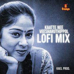 Kaatte Nee Veesharuthippol - Lofi Mix-PykoRj98VgU