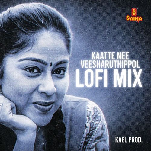 Kaatte Nee Veesharuthippol - Lofi Mix