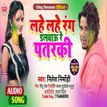 Lahe Lahe Rang Dalvau Re Pataraki