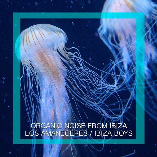 Ibiza Boys cover art