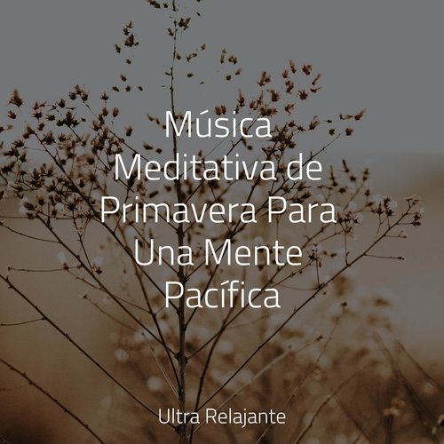 Música Meditativa de Primavera Para Una Mente Pacífica