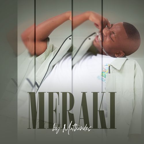 MERAKI_poster_image