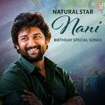 Natural Star Nani Birthday Special Songs