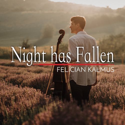 Night Has Fallen cover art
