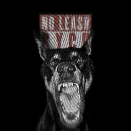 No Leash