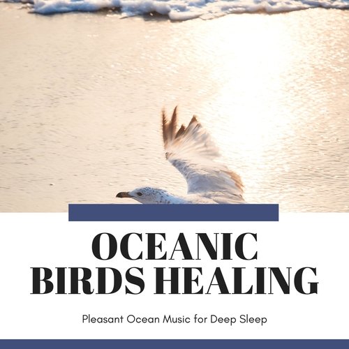 Birds at Oceanic Heaven cover art