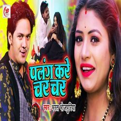 Palang Kare Char Char