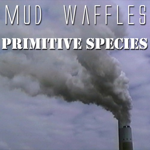 Spin Cycle cover art