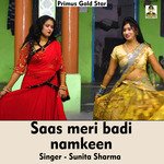 Saas meri badi namkeen (Hindi Song)
