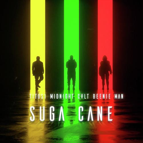 Suga Cane feat. Beenie Man cover art