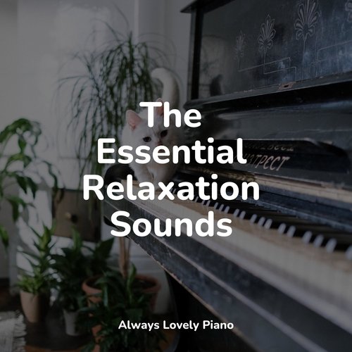 The Essential Relaxation Sounds