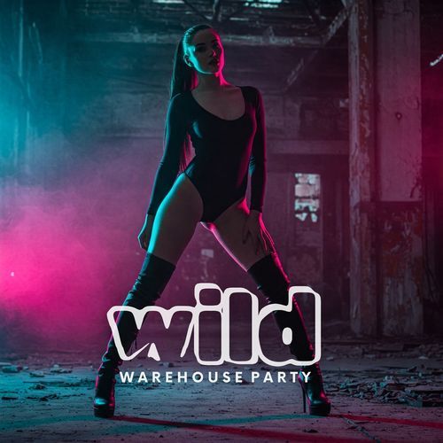 Wild Warehouse cover art