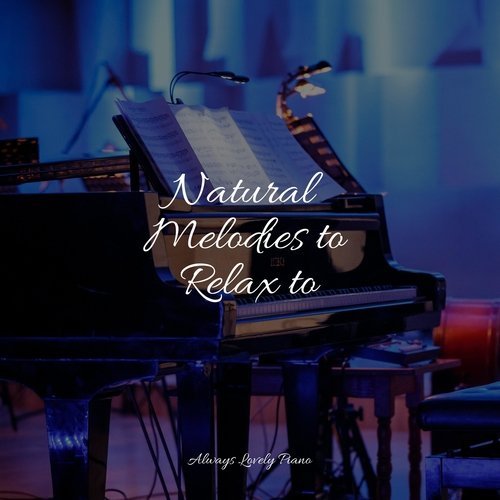 50 Calming Piano Tracks for Studying_poster_image