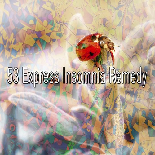 53 Express Insomnia Remedy