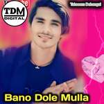 Bano Dole Mulla