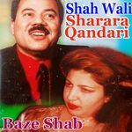 Baze Shab