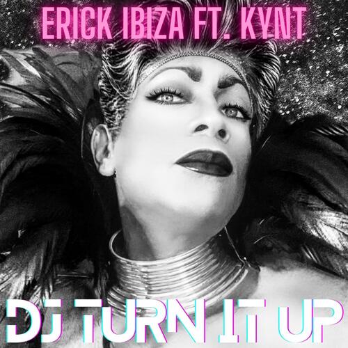 Dj Turn It Up_poster_image