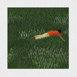 Door to Another Room